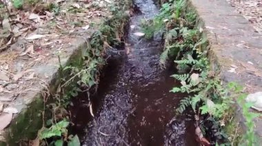 Uttarakhand 'daki dağlık yaban terrine' de bir yolun altından akan derenin yakın çekim görüntüsü.