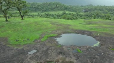 Yeşil çimenli ve ormanlık tepelerin, bulutlu günbatımı arkaplanlı drone görüntüsü.