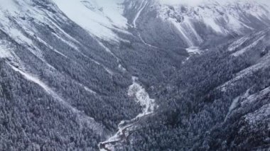 Karlı dağ sırasının kozalaklı ağaçlarla kaplı güzel drone görüntüleri..