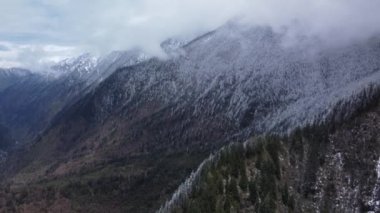 Karlı dağ sırasının kozalaklı ağaçlarla kaplı güzel drone görüntüleri..