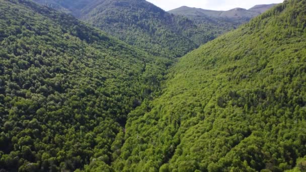Uma Vista Aérea Deslumbrante Paisagem Verde Com Árvores Densas Nas — Vídeo de Stock