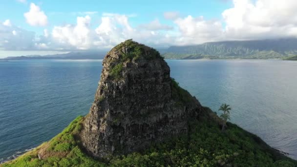 Een Luchtopname Van Chinaman Hat Basalt Eilandje Kaneohe Bay Hawaii — Stockvideo
