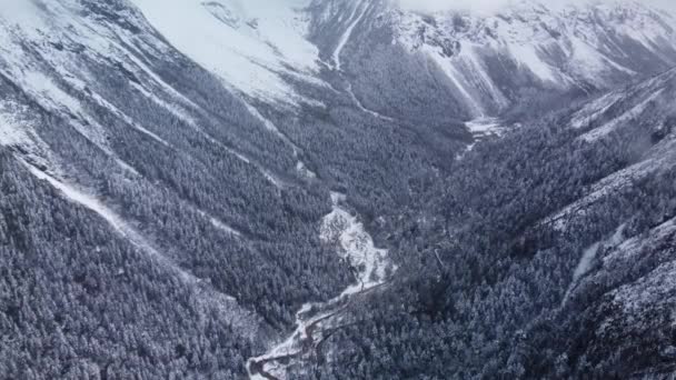 針葉樹で覆われた雪の山の範囲の美しいドローン映像 — ストック動画