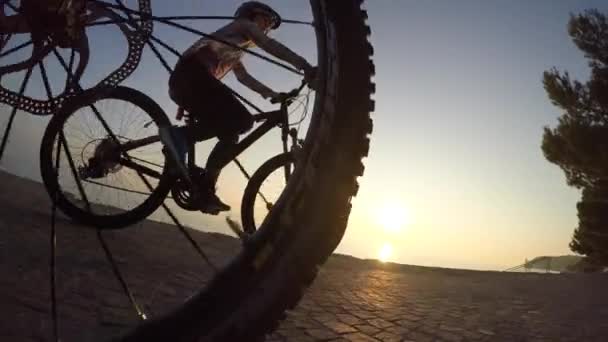 Parkta Bisiklete Binen Günbatımında Eğlenen Bir Kadın Bisikletçinin Düşük Açılı — Stok video