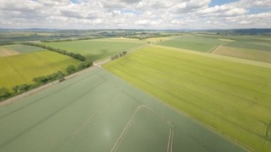 FPV İHA uçuşu yeşil alanlar üzerinde, dalış, hızlı, sinematik