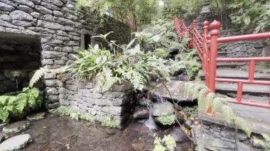 Monte Sarayı Tropikal Bahçe, Funchal, Madeira, Kasım 2021