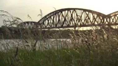 Rüzgarda esen otlar batan güneşle birlikte. Arka planda Duisburg, Almanya 'da Ren Nehri' ni geçen bir demiryolu köprüsü var..