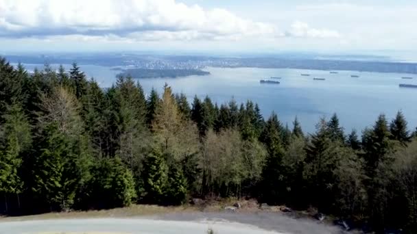 Vue Par Drone Une Belle Forêt Près Mer Vancouver Canada — Video