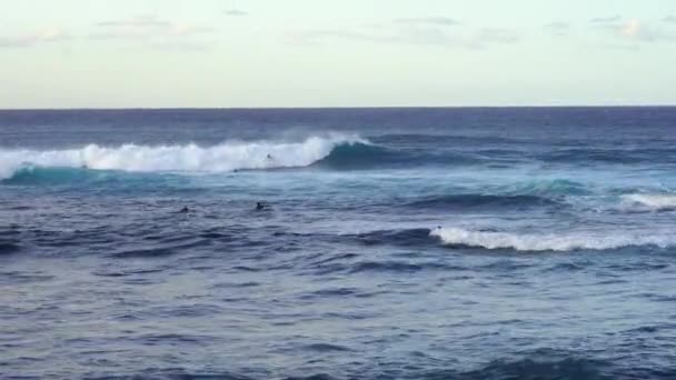 Scenic View People Surfing Sea Waves — Vídeo de Stock