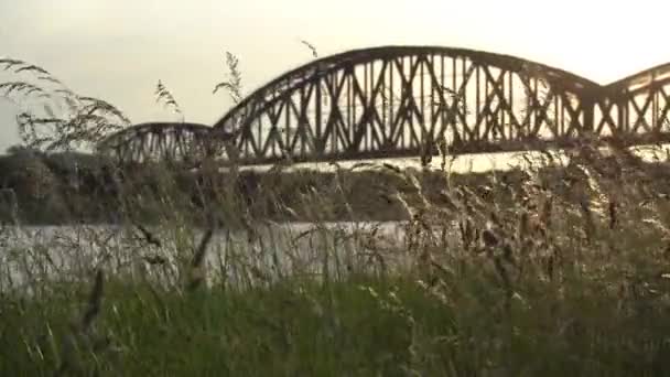Травы Дующие Ветру Закатом Солнца Заднем Плане Железнодорожный Мост Через — стоковое видео