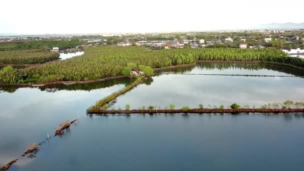 Scenic Shot Agricultural Lake Surrounded Forest — Vídeo de Stock