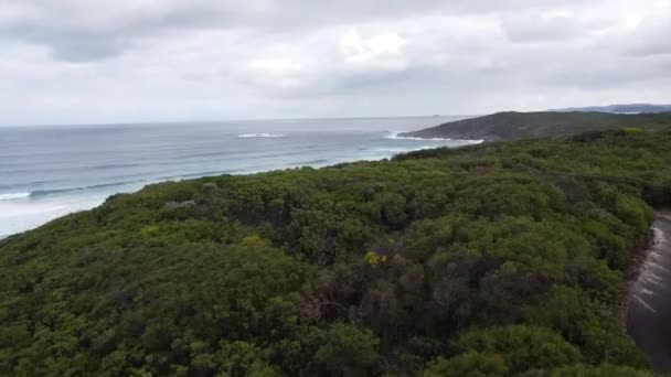 Nagranie Lotu Drona Pięknej Piaszczystej Plaży Spokojnych Fal Myjących Brzeg — Wideo stockowe