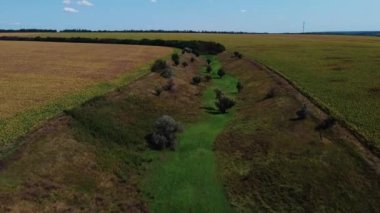 Kirovohrad Oblastı, Ukrayna 'da güzel bir yeşil alan manzarası