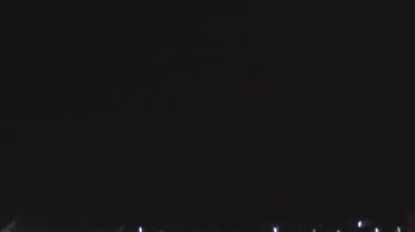 A night view of a park with illuminated pine trees