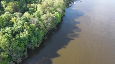 An aerial view of the coast with a forest and bushes in Zegrze, Poland
