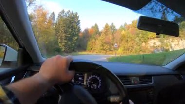 A man driving down the road through the forest on a sunny day