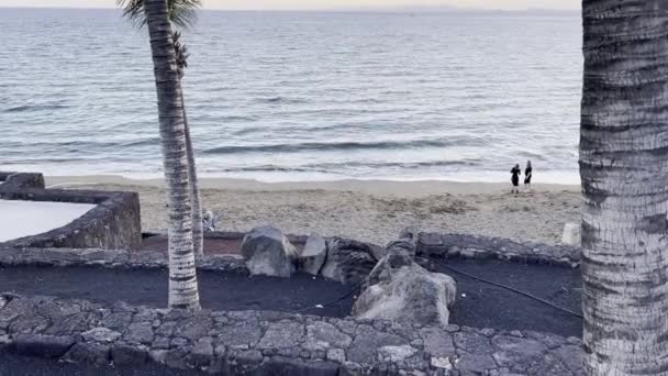 Ein Luftbild Vom Strand Mit Wachsenden Bäumen Hintergrund Des Meeres — Stockvideo