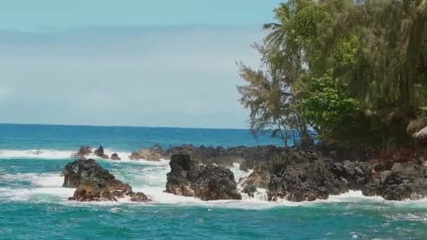 ハワイのマウイ島のKe Anae半島の岩に打ち寄せる波 — ストック動画