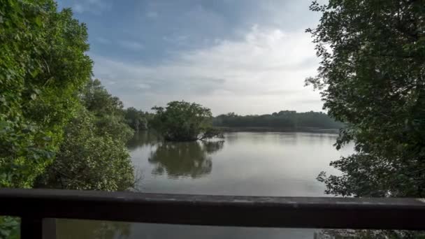 Time Lapse Lake Surrounded Greenery View Bridge Sliding Right — Vídeo de stock