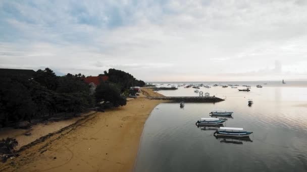 Uma Vista Hipnotizante Costa Com Barcos Árvores — Vídeo de Stock