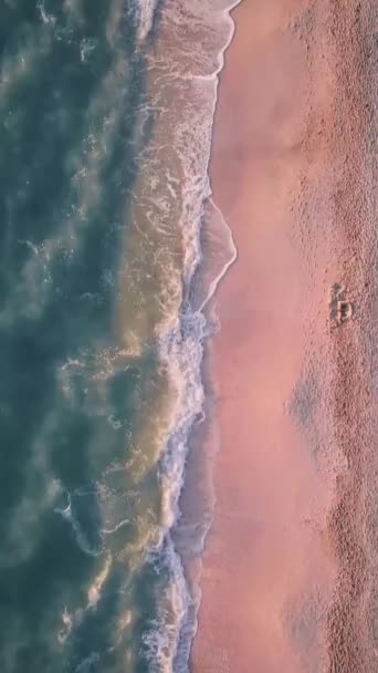 Vertical Montage Seaside Skydivers California Beach — 비디오