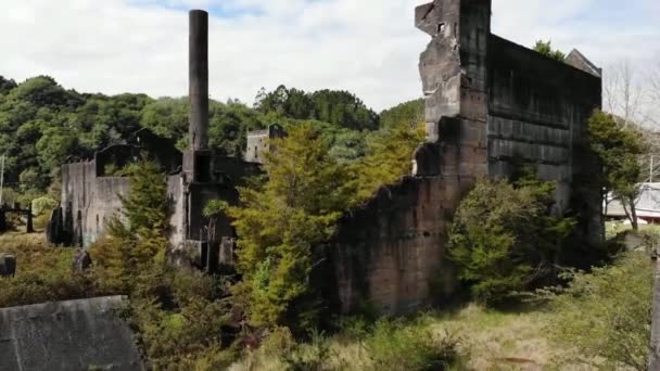 Warkworth Yeni Zelanda Terk Edilmiş Çimento Fabrikası — Stok video