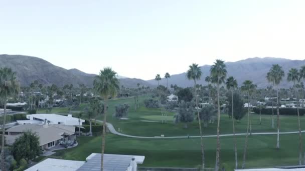 Aerial Footage Green Town Palm Trees Small Buildings Mountains Bright — Video