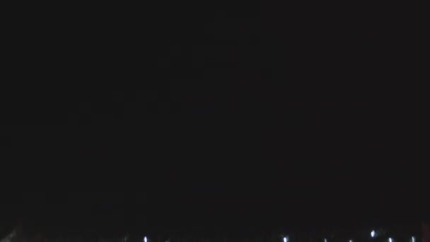 Night View Park Illuminated Pine Trees — Vídeo de Stock