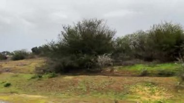 Sabah otoyolda hız yapan araba penceresi.