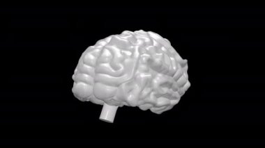 Siyah arkaplanı olan beyaz beyin 