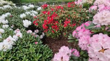 A beautiful view of colorful garden flowers and water in Nivagard Museum in Niva, Denmark
