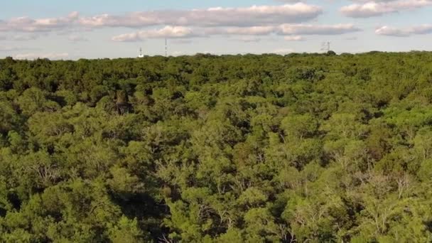 Aerial View Scenery Green Trees Cedar Ridge Preservation — Stockvideo