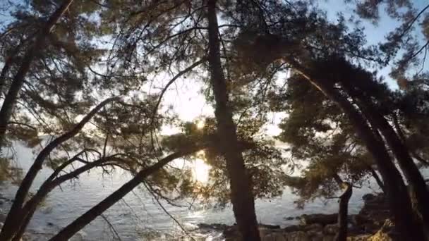 Beautiful View Mediterranean Sea Sunset Trees Foreground Croatia — Stok video