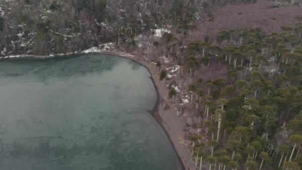 Scenic Aerial View Laguna Huenfuica National Park Villarica Sendero Lagunas — Video Stock