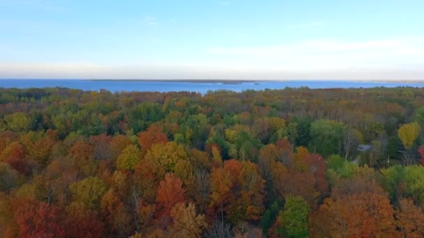 Sibbald Point Park Fall Drone — Stok video