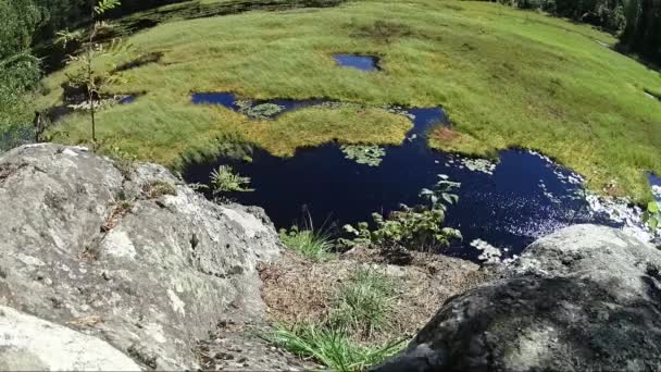 View Hill Sea Bog Reeds Water — Stok video