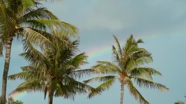 Szivárvány Városban Honolulu Hawaii — Stock videók