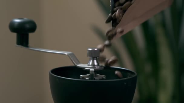 Slow Motion Coffee Beans Falling Manual Grinder — Video Stock