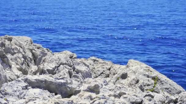 Natural View Rocky Coast Hvar Island Croatia — Wideo stockowe