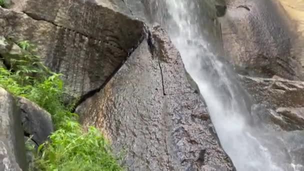 Closeup Shot Beautiful Waterfall Flowing Forest Richmond Virginia Usa — Vídeos de Stock