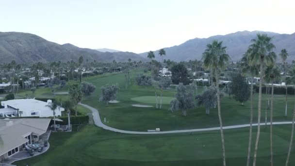 Aerial View Buildings Palm Trees Green Mountains — Stok video
