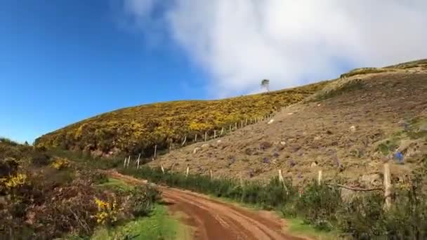 ポルトガルのマデイラ島の山道を登るバイカーの視点のビデオ — ストック動画