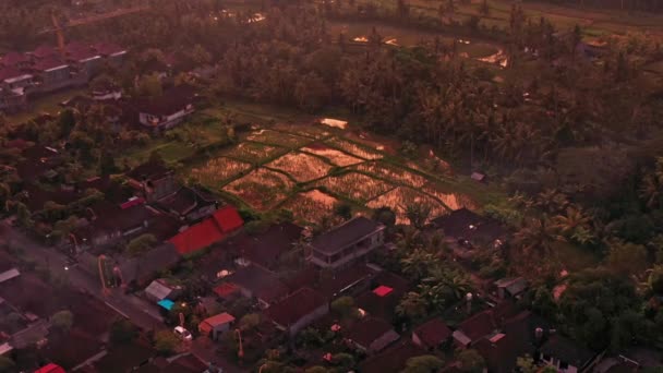 Ein Schöner Blick Auf Einen Wald Mit Häusern Bei Sonnenuntergang — Stockvideo