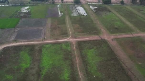 Beautiful Aerial View Fields Countryside Architecture Daylight — Vídeos de Stock