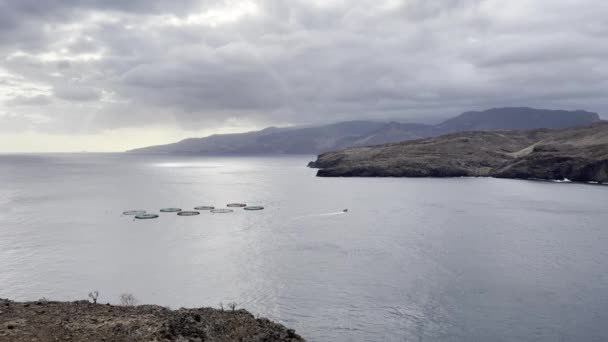 Coastline Madeira Showing Sea Beaches Rocks Sky People — Stock Video