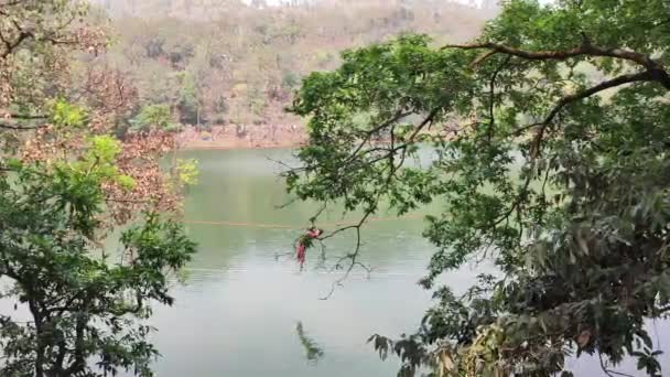 印度乌塔拉汉德湖畔美丽树木的特写 — 图库视频影像