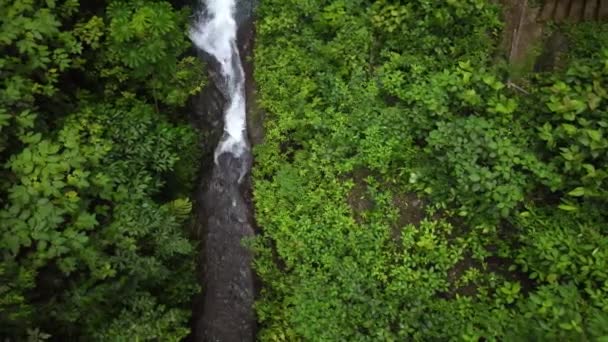 Top View Beautiful Waterfall Flowing Forest — Vídeos de Stock