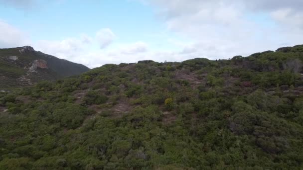 Aerial Drone Footage Beautiful Sandy Beach Hills Calm Waves Washing — Vídeo de stock