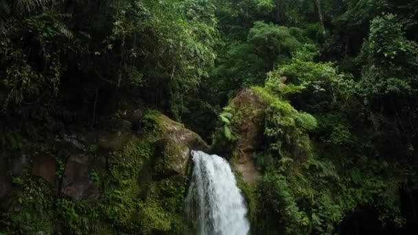 Una Hermosa Vista Cascada Través Del Bosque Verde — Vídeos de Stock