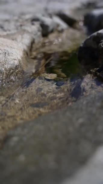 Vertical Shot Mossy Rocks Surface Clear Water — Vídeos de Stock